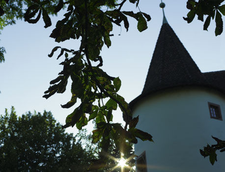 Hotel Castle Garden Binningen Экстерьер фото